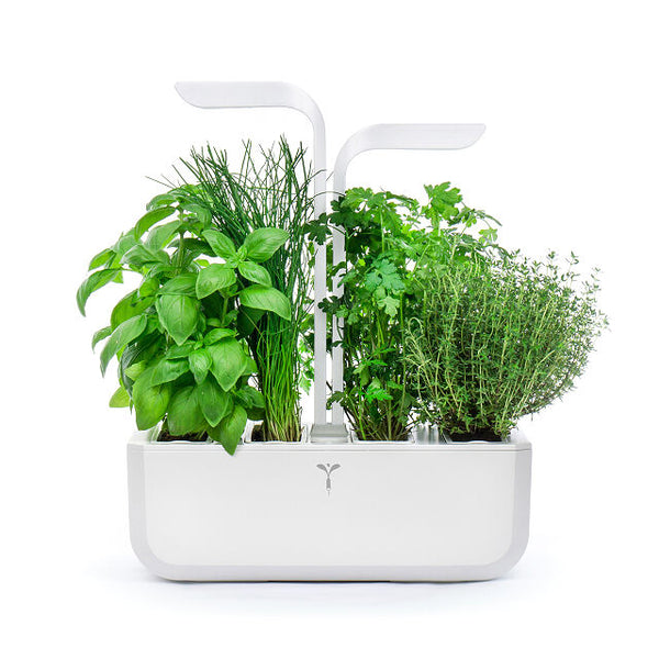 Quintessential Smart Kitchen Multi-Herb Garden